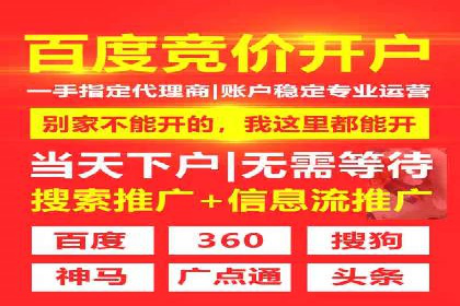 百度推广全攻略：成功案例剖析